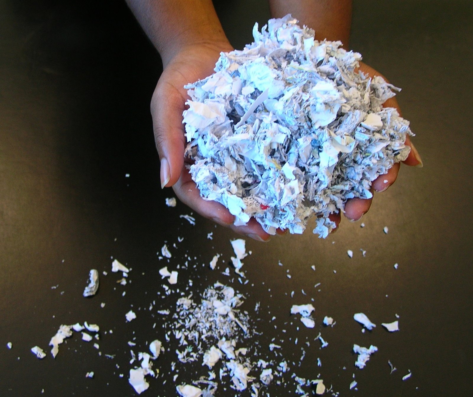 [Shred_Paper.JPG]