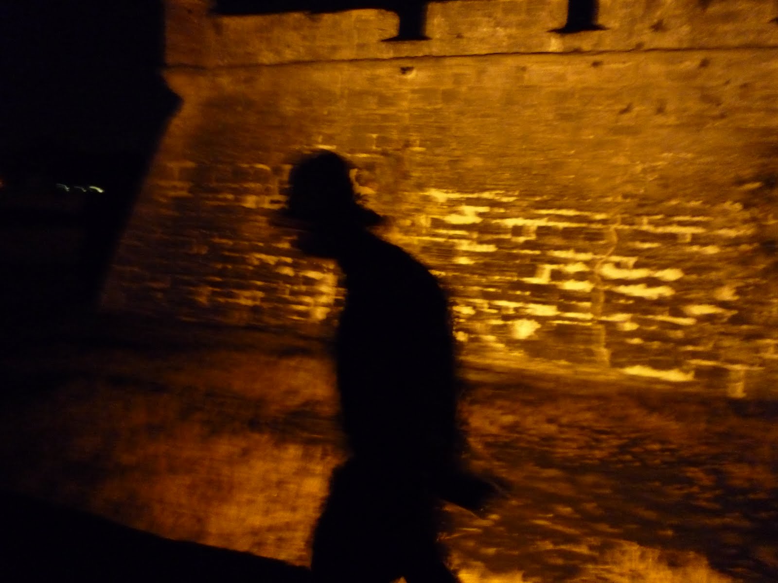 [creepy+shadow+at+fort.JPG.jpeg]