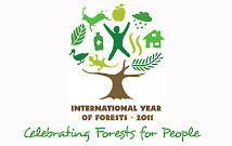 2011 Año Internacional de los Bosques