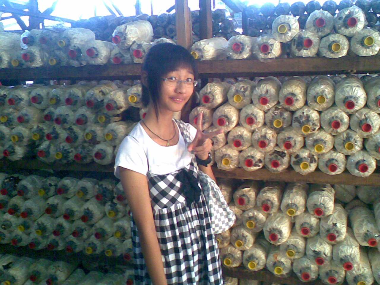 [pic041.jpg]