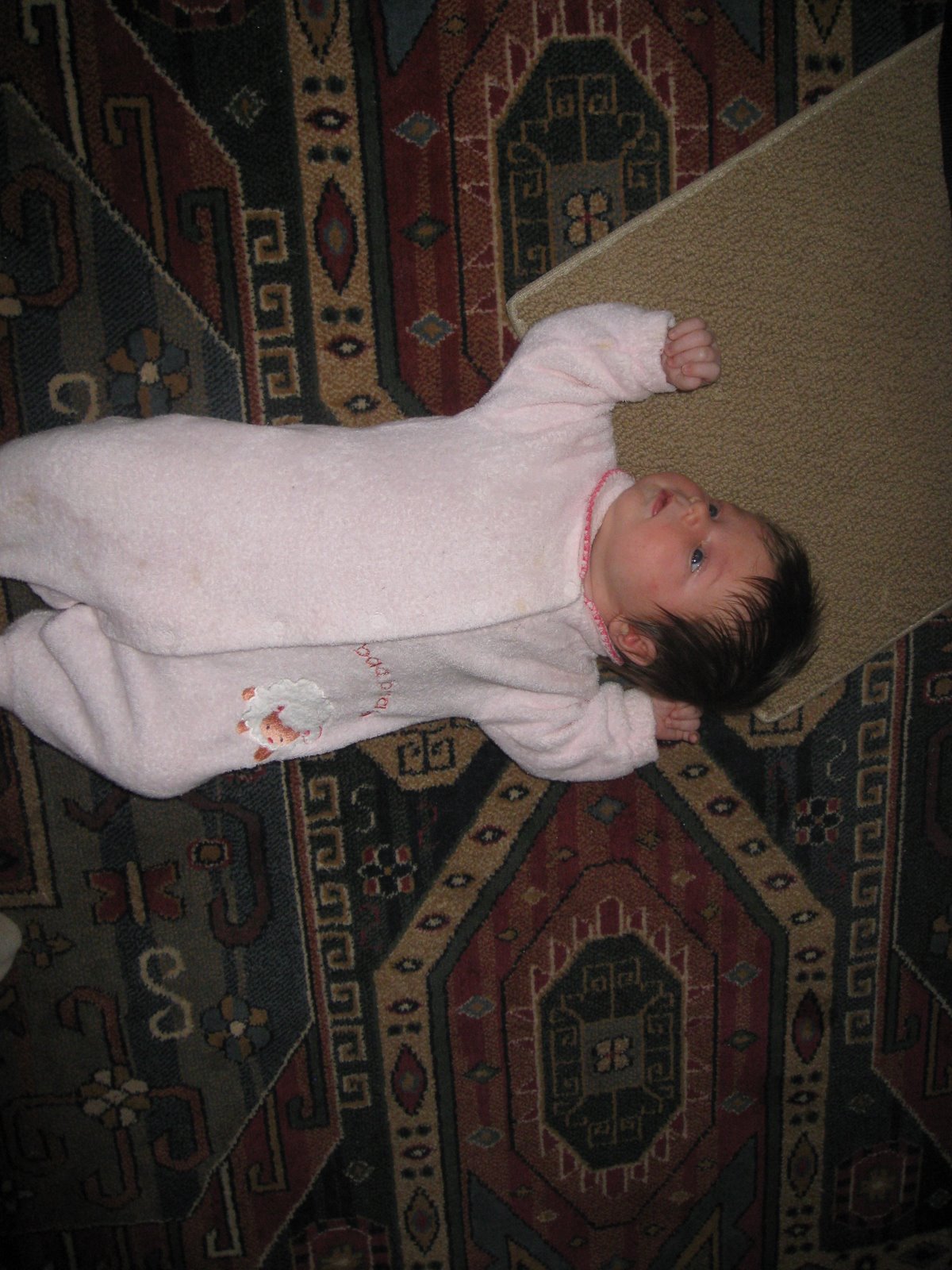 [IMG_0825.JPG]