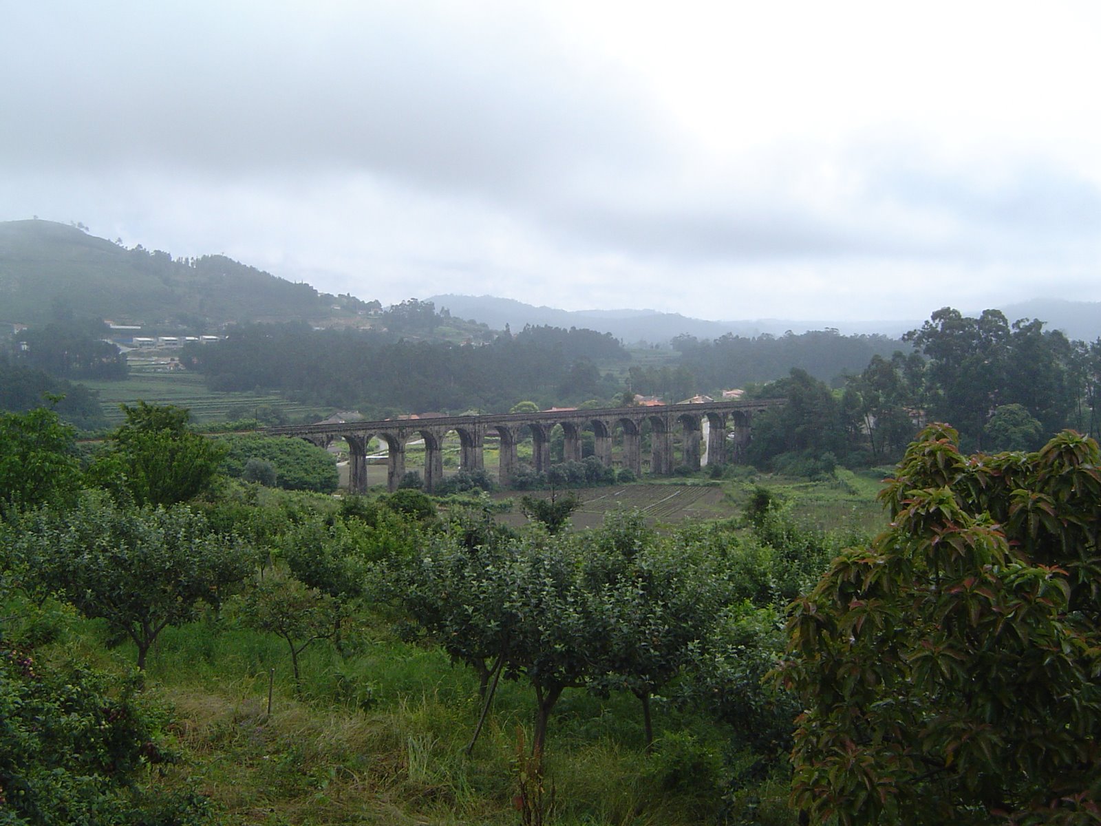 [DSC01204.JPG]