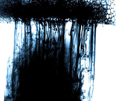 Ink in water to create a sense of colour, paint and movement. 