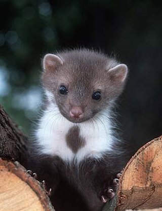 A Good Day to Die Hard - Wikipedia