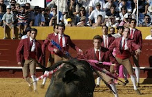 Portuguese style bull fight at Santarém