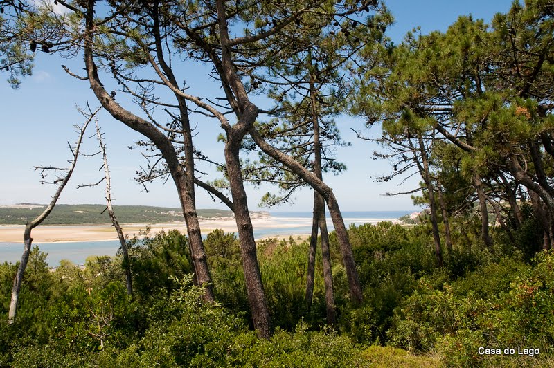 Obidos Lagoon viewed from Foz do Arelho