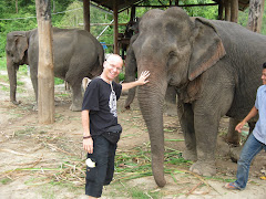 47 yr old elephant in Thailand