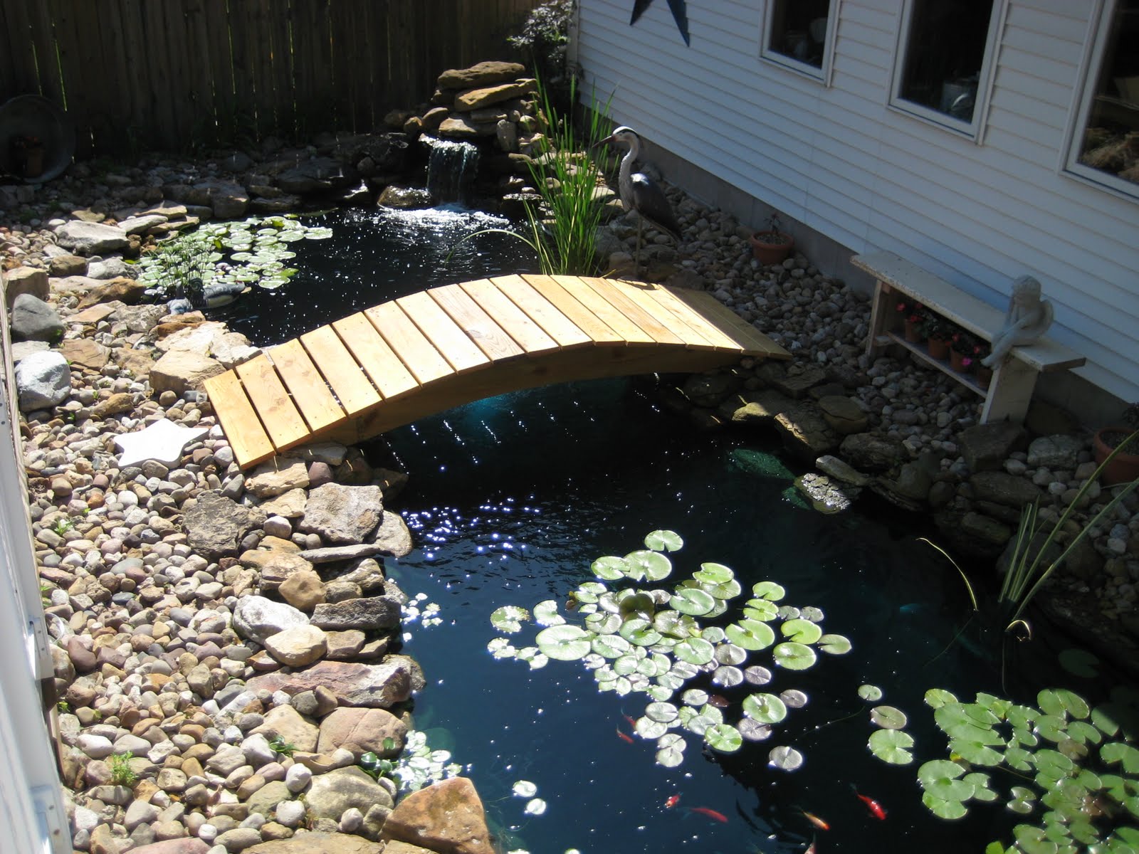 Schroeder's Koi Pond Log Pond Log for March 2010