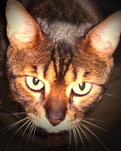 My Photo