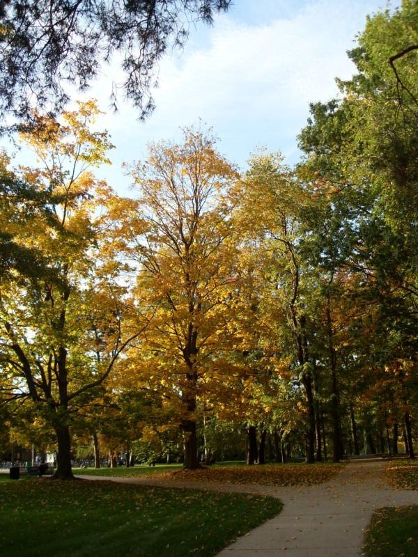 [SDC10177.JPG]