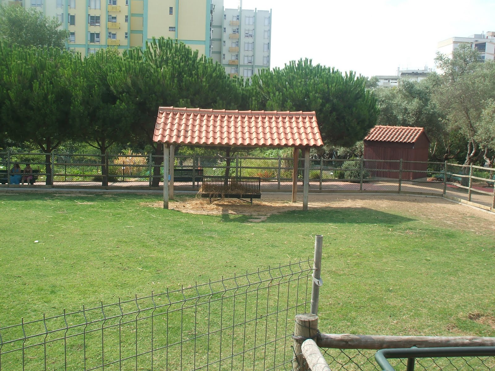 [DSCF0541.JPG]