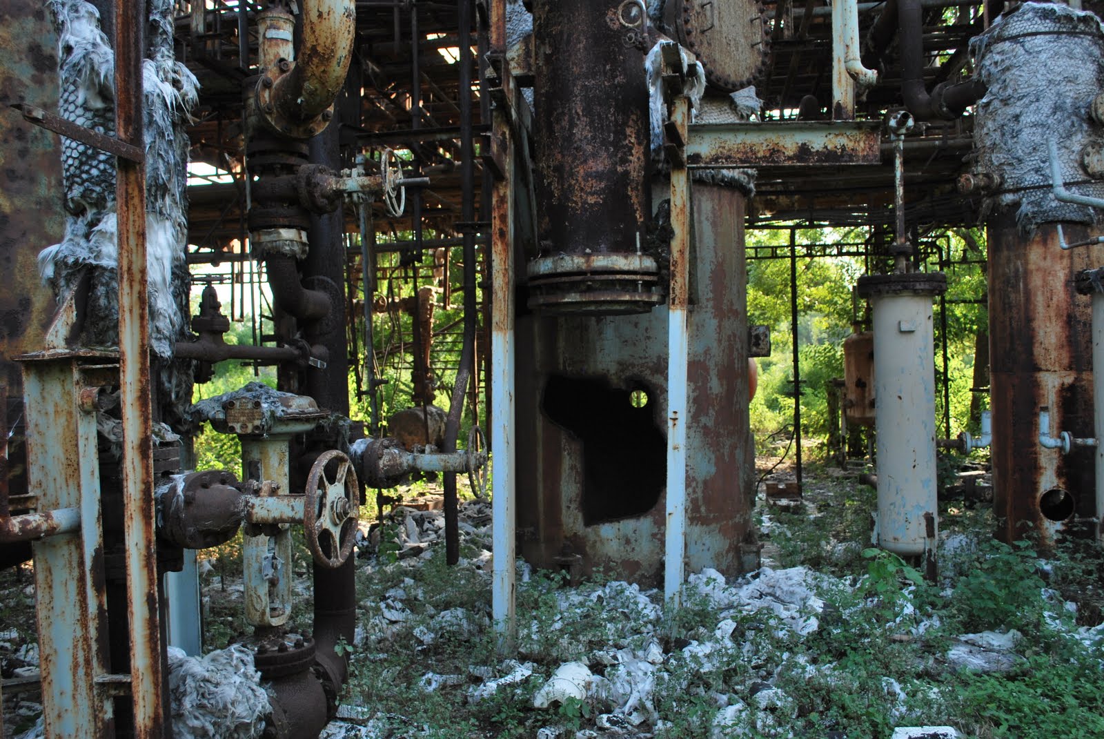 [Ruth's+second+batch+245.JPG]