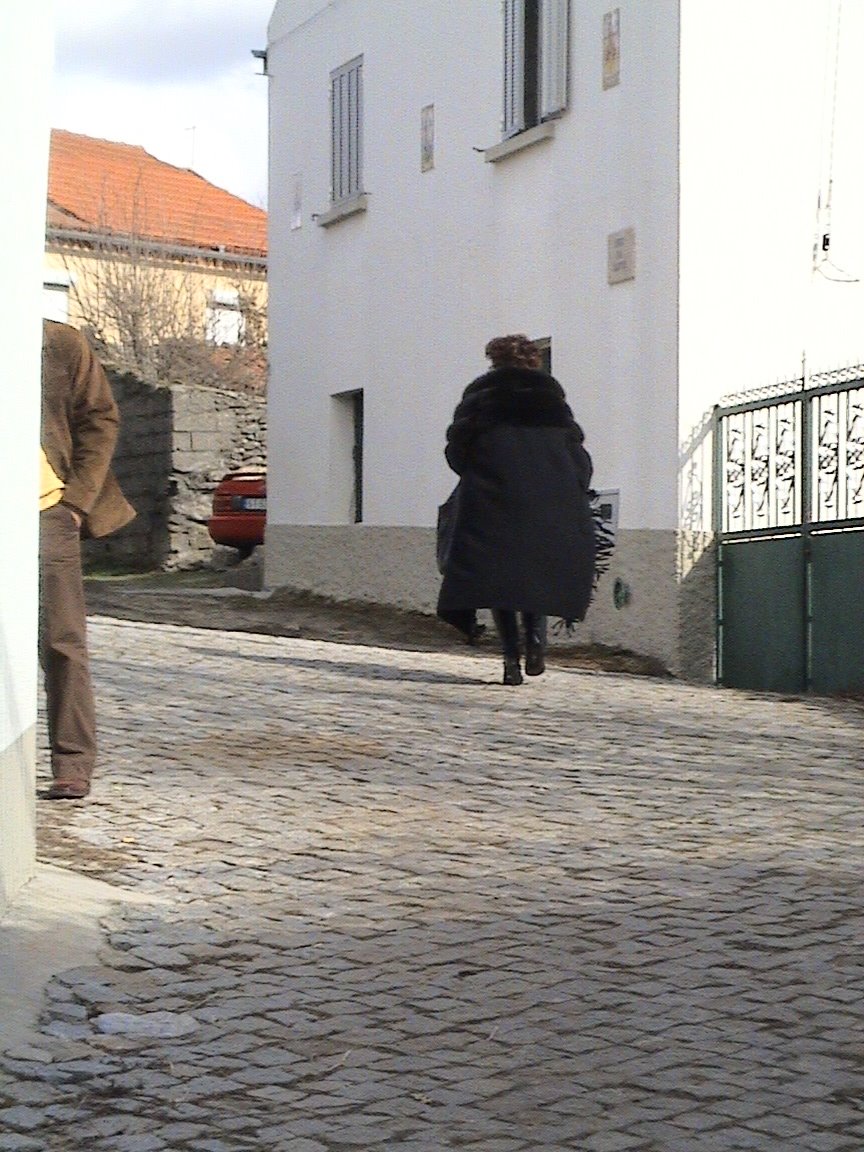 [DSC00830.JPG]