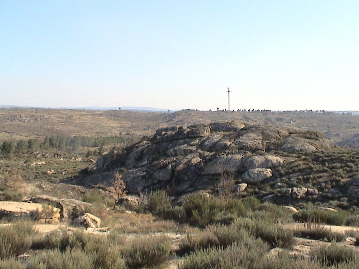 [DSC00812.JPG]