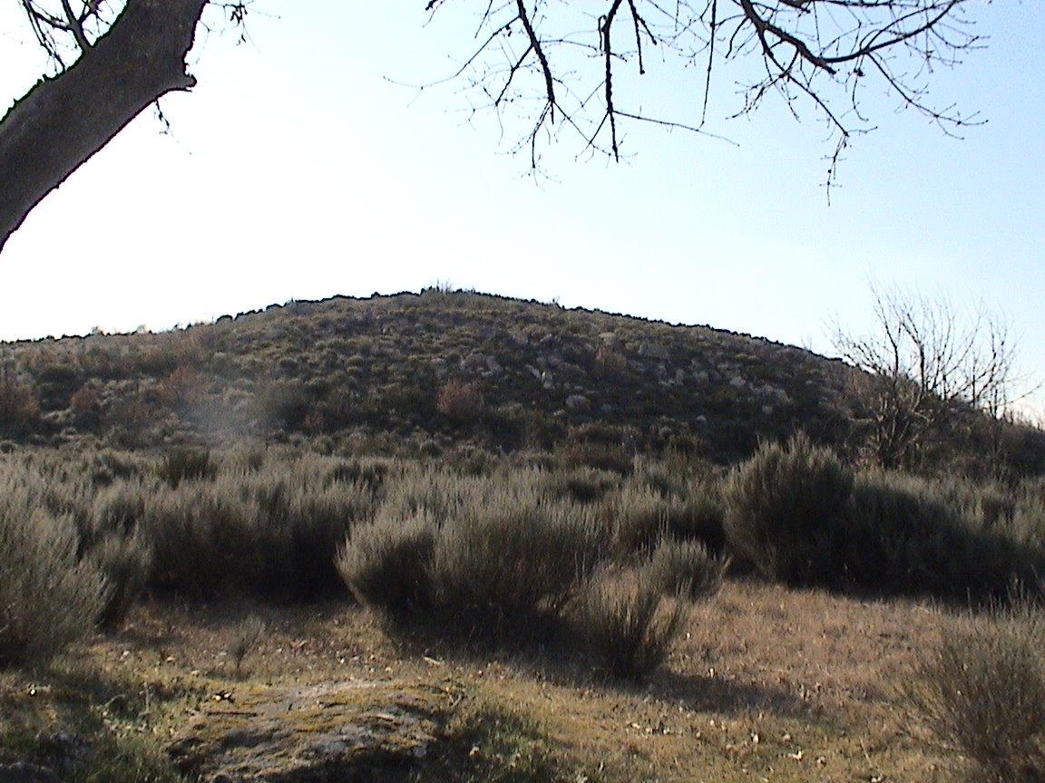 [DSC00818.JPG]