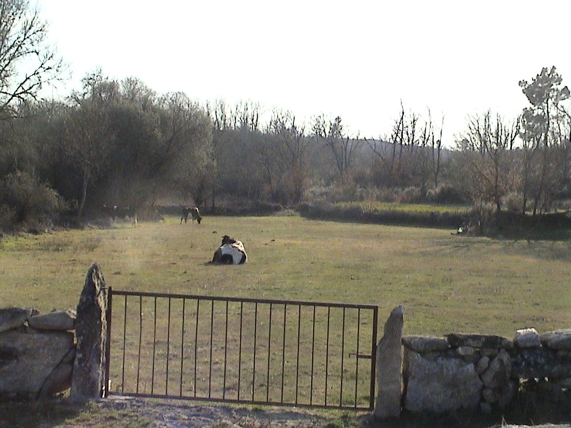 [DSC00823.JPG]