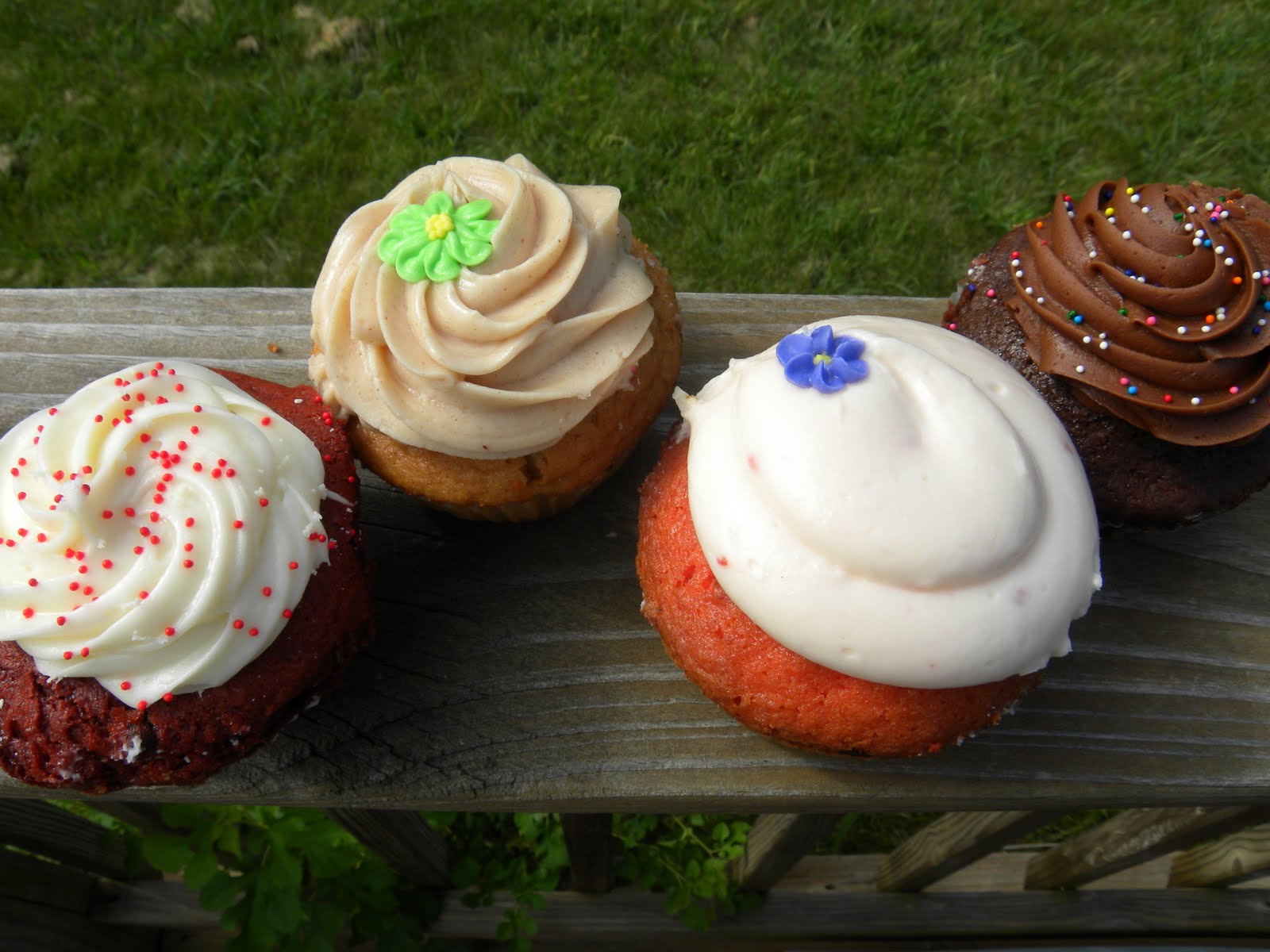 Miss Cupcake's Cupcakery The Flying Cupcake; Indianapolis