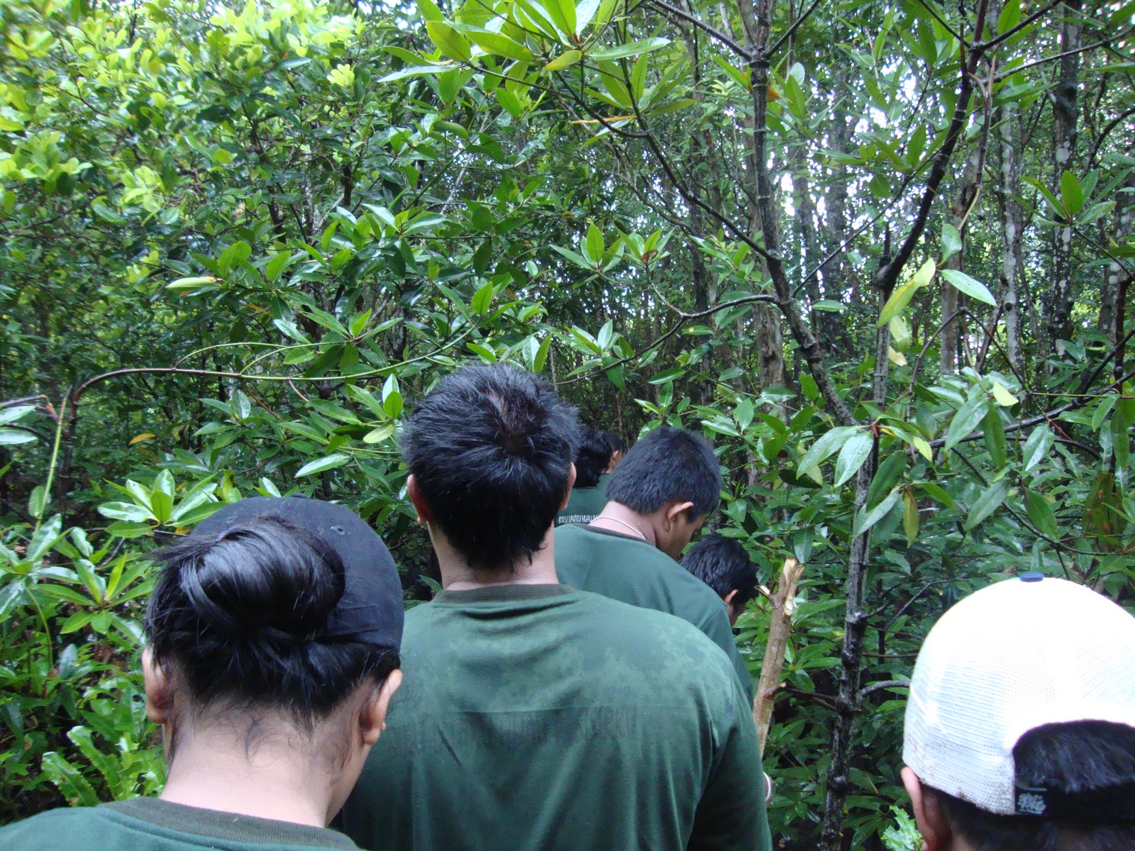 BELUKAP MANGROVE CLUB: DIKSAROVE II: Tak Hanya Ilmu, Sertifikatpun