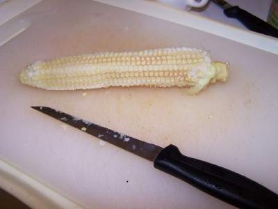 [corn%20cob%20cut.jpg]