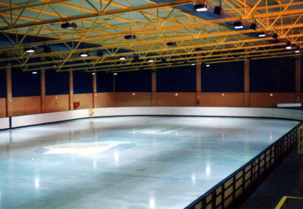 DE PATINAJE SOBRE HIELO EN LEGANES de patinaje sobre hielo en leganes: