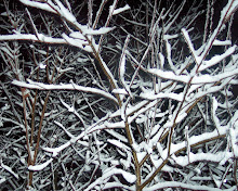 Our first snow in Maine '08