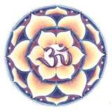 Lotus Ohm