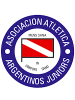 escudo asociacion atletica argentinos juniors campeon 2010