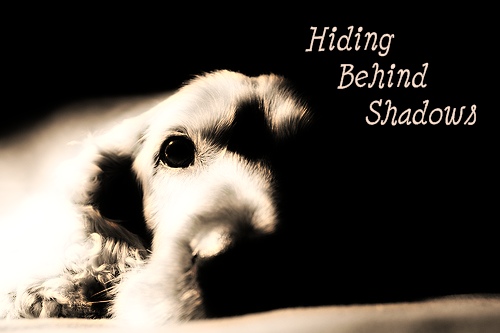 Hiding Behind Shadows