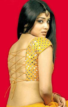 blouse saree design