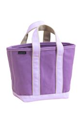 [LandsEndTote.jpeg]