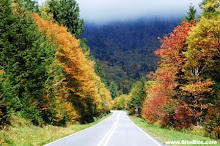 Blue Ridge Parkway