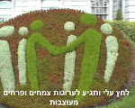 כרזות וערוגות צמחים ופרחים מעוצבות