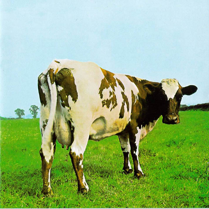 atom heart mother album cover atom heart mother album cover