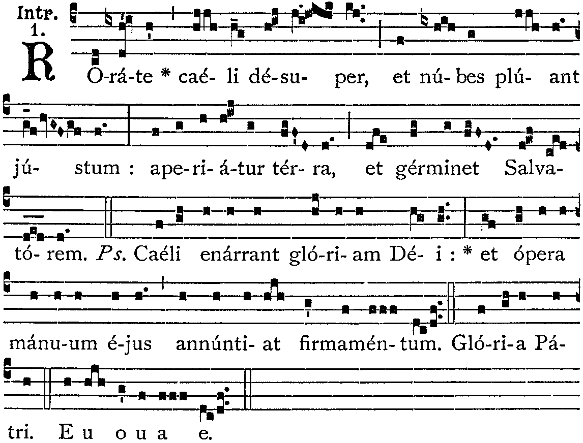 [in_rorate_caeli_desuper.gif]