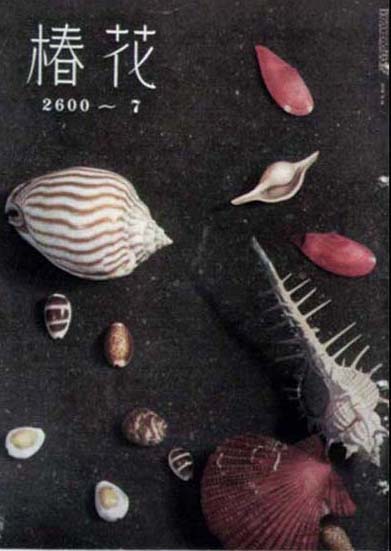 [sh03_shells.jpg]