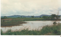 ÁREA DE RISCO