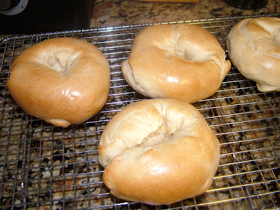 Plain Bagels