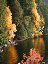 Fall Colors