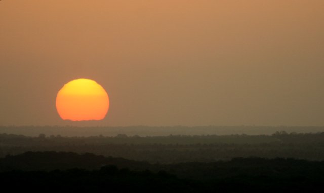 [IMG_6545.JPG]