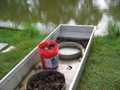 Crawfish+boil+flyer