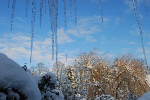 [Resize+of+DSC_0465.JPG]