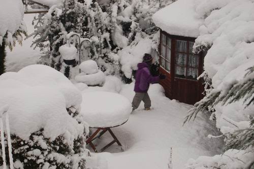 [Resize+of+DSC_0425.JPG]