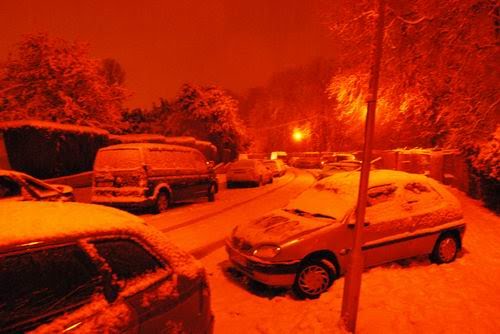 [Resize+of+DSC_0046.JPG]