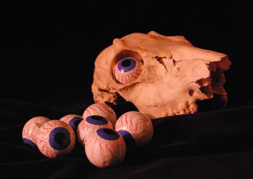 [Resize+of+DSC_0007.JPG]