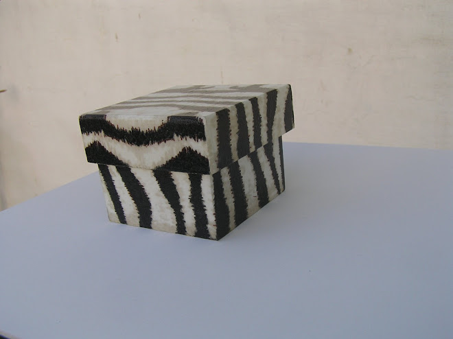 CAJA ZEBRA