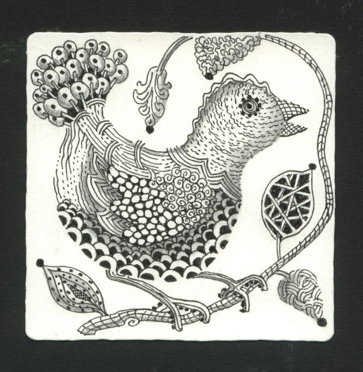 Peggy Turchette 365 Birds Day Four Zentangle Bird