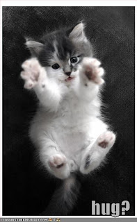 [Image: funny-pictures-kitten-hug.jpg]