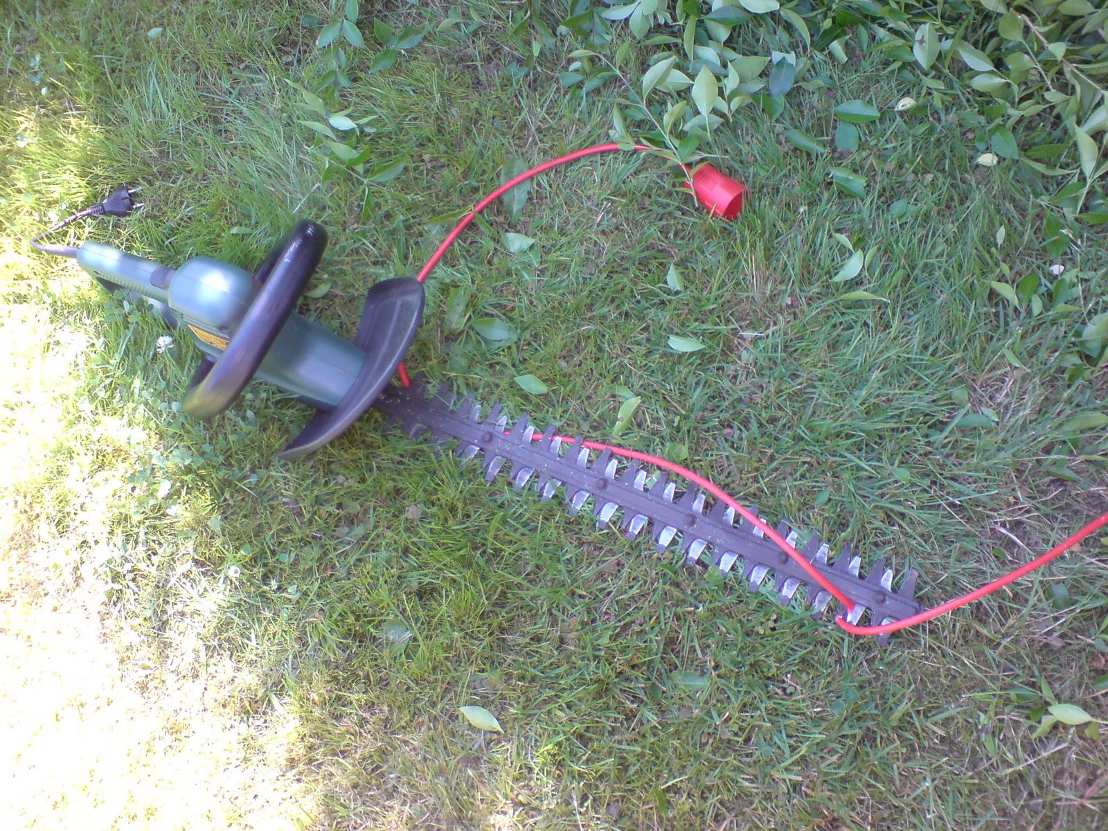 [DSC00160.JPG]