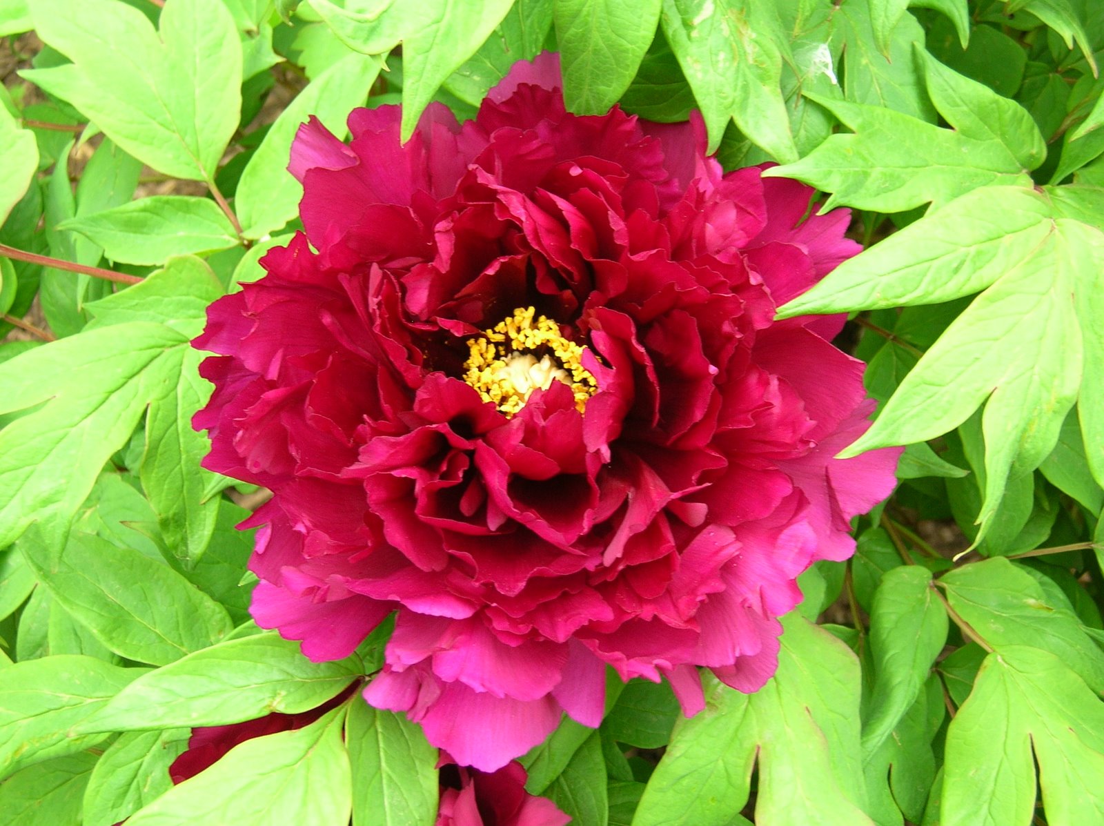 [Spring+2009+353.JPG]