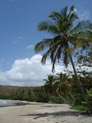 A contender for the best beach in the world!